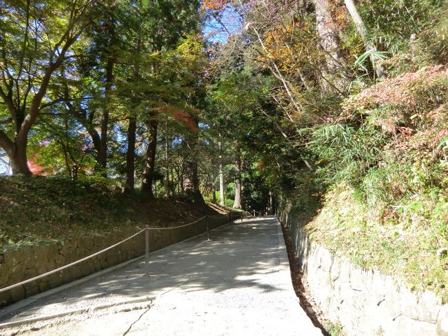 この坂道を登るのが好き（●＾o＾●）