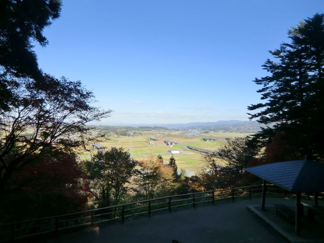 眺めが良かったデス