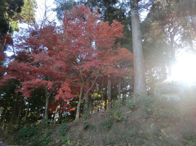 紅葉の季節でしたが・・・・<br /><br /><br />平日だったので<br /><br />思ったより、<br />ゆっくりとお参りすることができました。<br />