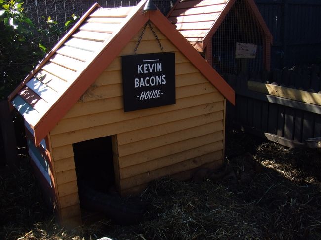 ブタ小屋<br />ケビン・ベーコンというらしいですw