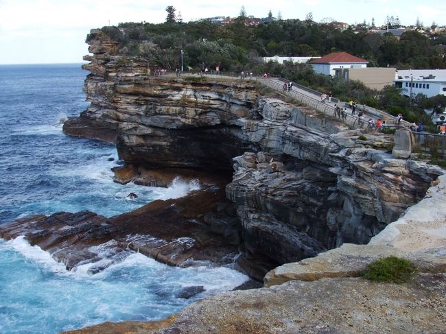 タスマン海<br />なかなか険しい