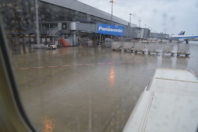 動き出しました<br /><br />外はどしゃ降り<br /><br />雨夫婦のいつもの光景