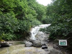 カムイワッカ湯の滝

一の滝までしか来れません。

これ以上、上ろうとすると怒られますw