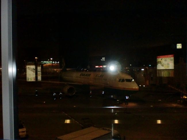 帰りも同じ飛行機<br />寝るだけだから、いいか~