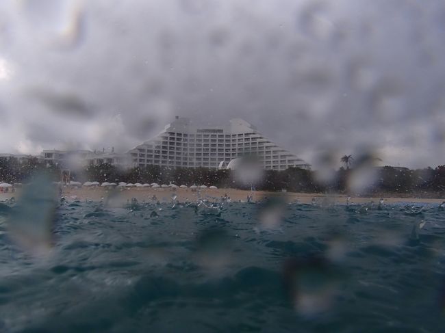 あららら・・・。<br />降ってきました。<br /><br />でも気にしない。