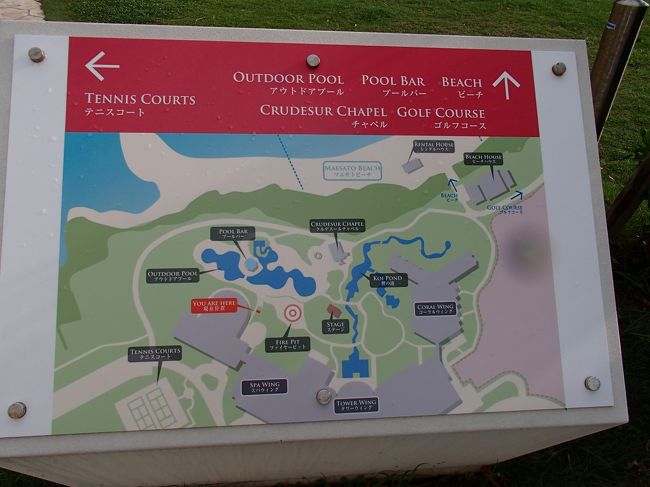 今度はプールに向かって。