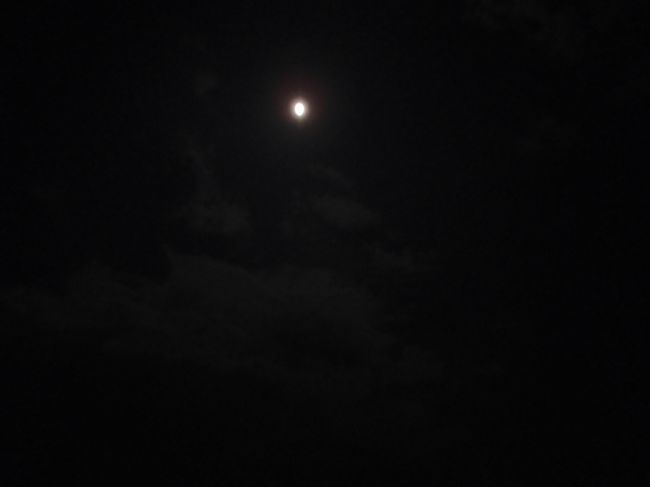 昼間泳いだビーチの方へ行くと、ホテルの光は届かず月明かりがすごくきれい。<br /><br />月ってこんなに明るかったんだ・・・・。