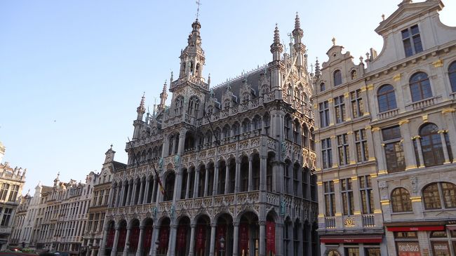 陽がさしてきました。