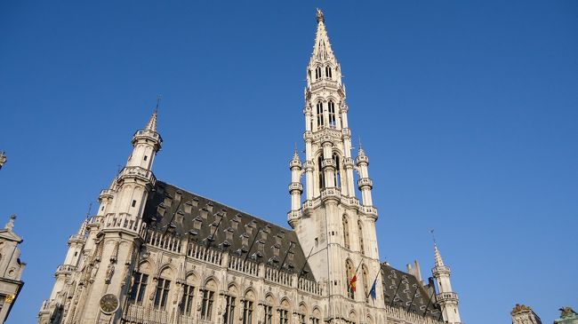 今日は快晴です。