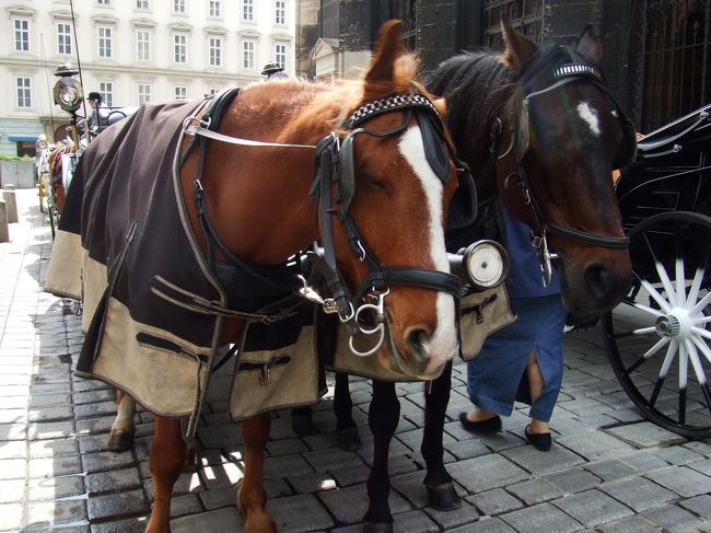 市内に戻って。<br />フィアカー