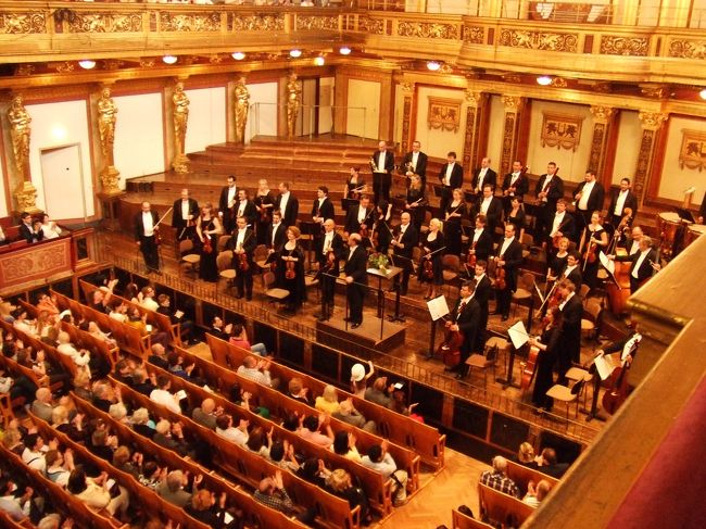 Bruno Walter Symphony Orchestra