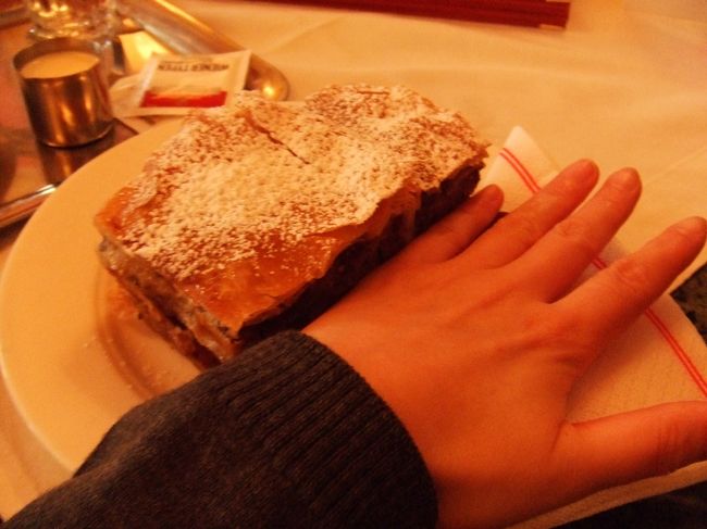 この大きさ！<br />ショーケースに並んでいる姿は、まるでレンガの様。