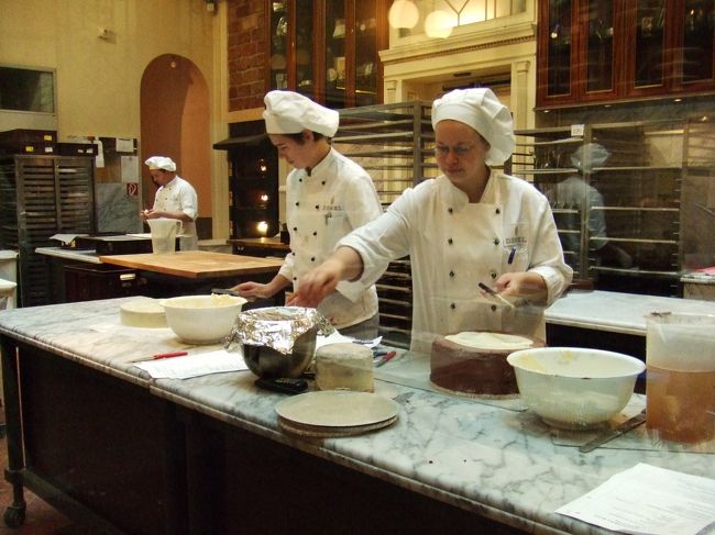 働く職人さんが見れます