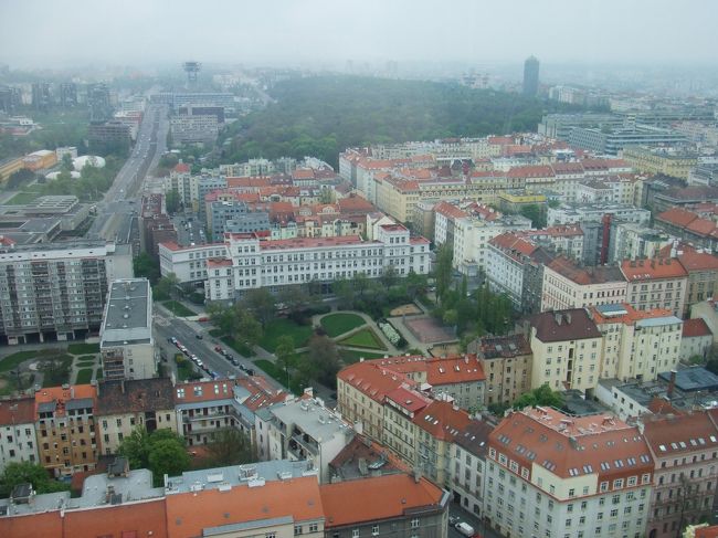 展望台へ登ってみます