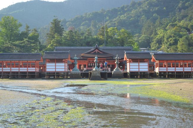 拝殿。<br /><br />圧巻ですなぁ♪