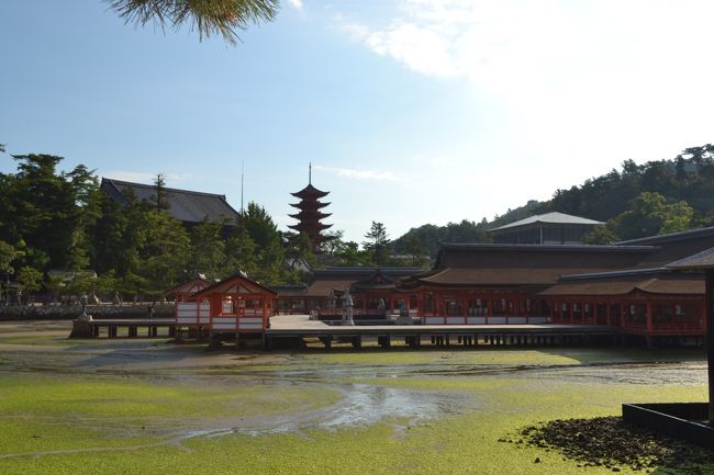 満潮は１１時頃か…。<br /><br /><br />満潮までしばらく時間があるので、<br /><br />他のところを巡りましょうかね♪