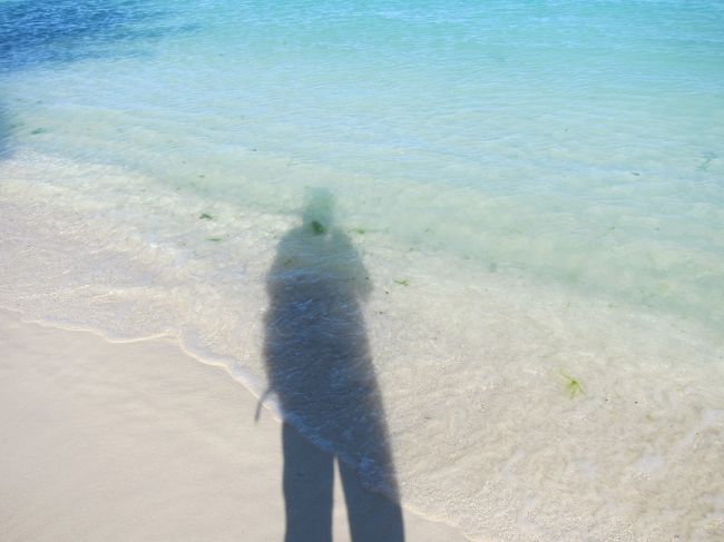 砂浜はサラッサラ。