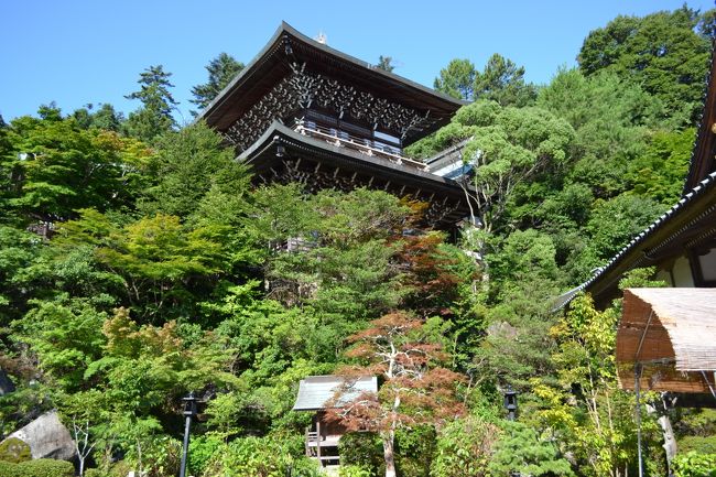 さて、弥山に登って行きましょう！