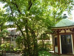 岡倉天心記念公園


日本近代美術の先覚者・岡倉天心氏の旧居跡。

昼下がり、公園には涼む方の姿も多く。