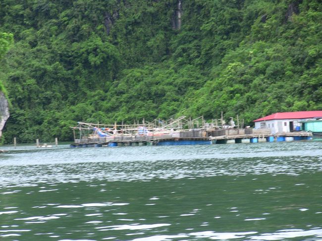 村らしき場所が。<br />