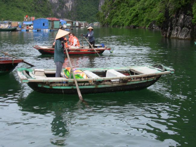 この船に乗って見学です。<br />後ろにごみ取り用の網と袋装備。<br />