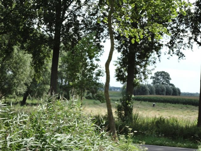 のどかな風景の中を滑るように進んでいきます。