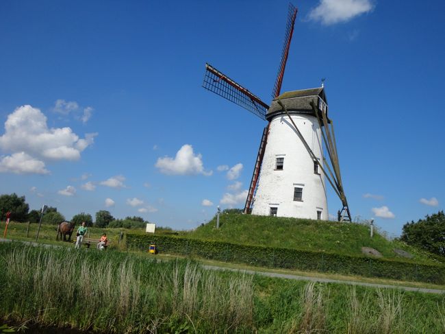 風車が見えてきたので、もうすぐダムかな・・・