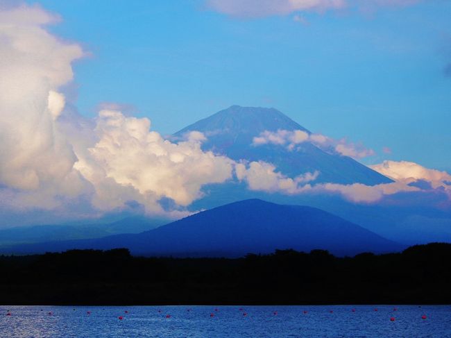 埼玉県から見える富士山より大きい。<br />
