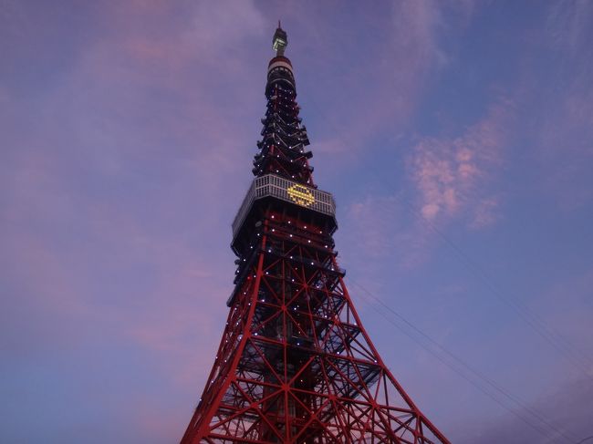 祝 Tokyoオリンピックカラーの都庁 東京スカイツリー ドラえもん東京タワー まさにここはny3 0円でパーク ハイアット東京からの煌めく夜景を堪能 新宿 東京 の旅行記 ブログ By リンリンベルベルさん フォートラベル