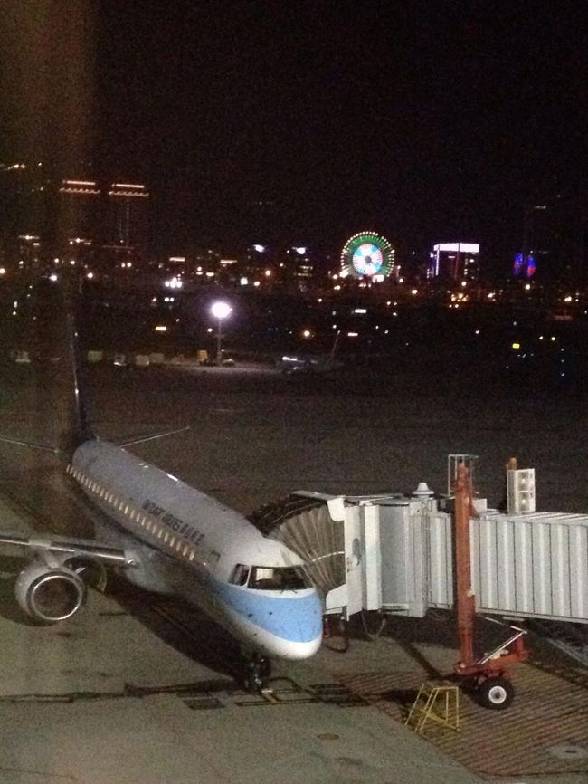 これは夜に行った時の写真