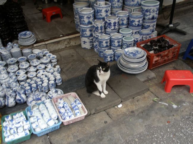 こちらもバッチャン焼店の看板猫<br /><br />バッチャン焼きは買いたい物がたくさんあったのですが余りに買物し過ぎでとても持ち帰りできません．．．<br />