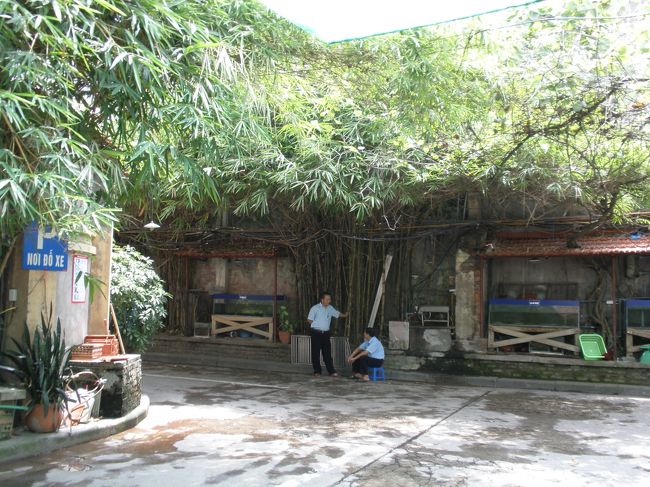 ランチにはメトロポール近くの海鮮料理店「FHO BIEN」に行きました。<br />大きな駐車スペースがあってどうやら街のお金持ちがたくさん来るらしいです。<br /><br />入り口近くは竹がたくさん植えられていて涼しげ。　