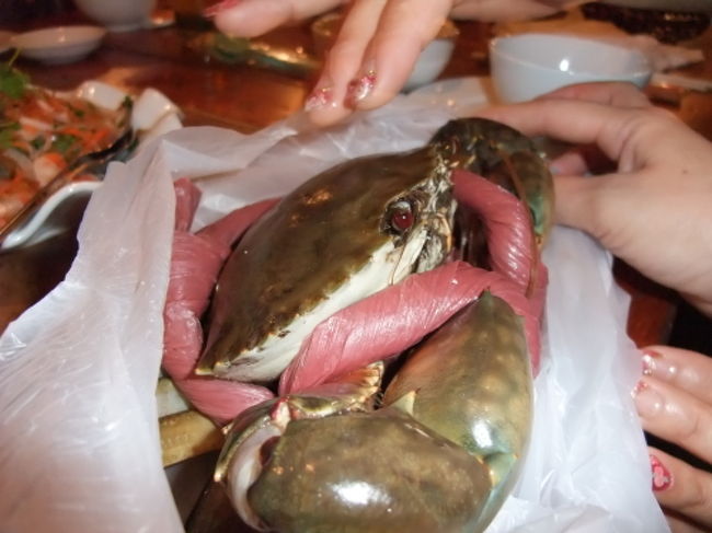 やっぱりマングローブ蟹を頼んじゃいました！<br />今日で食べ納めです！<br />活きた蟹をテーブルまで見せに来てくれました。