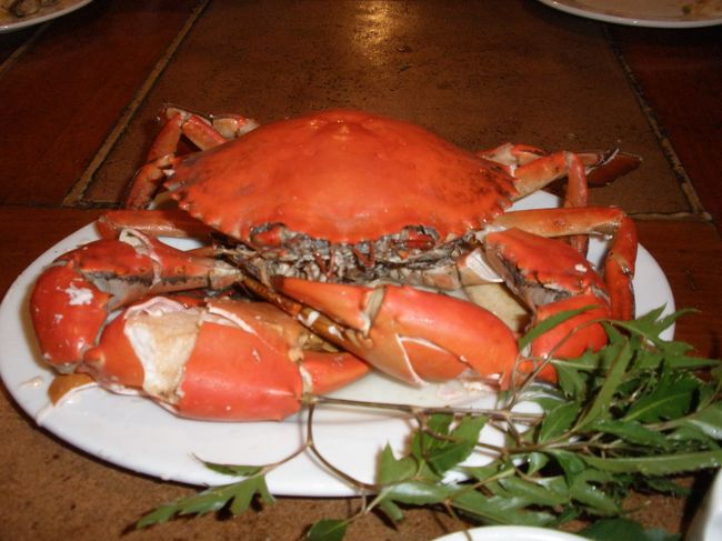 先ほどの蟹ちゃんがすっかり蒸されて登場です。<br /><br />何度食べてもあきないうまさ！！<br />やっぱりこれですねぇ<br /><br />4人でビール2本づつ飲んで全部で5000円ほど。<br />そのうち、このカニちゃんが3500円なり。<br /><br />大きな蟹やエビ以外は値段はとっても安く美味く、清潔でおススメのレストランです。<br />