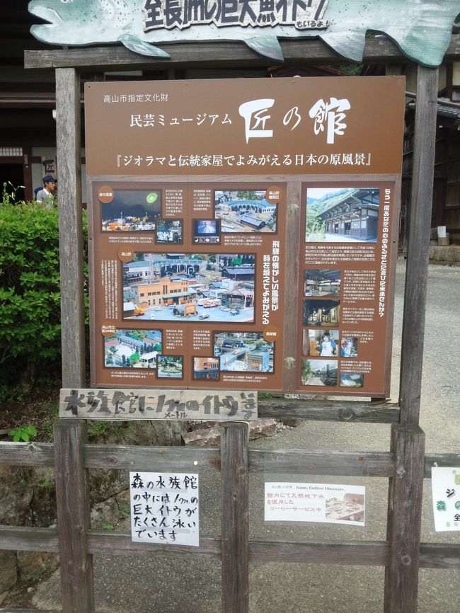 　(∩´∀｀)∩ﾜｰｲ　全長１ｍのさかながいるだそうです・・