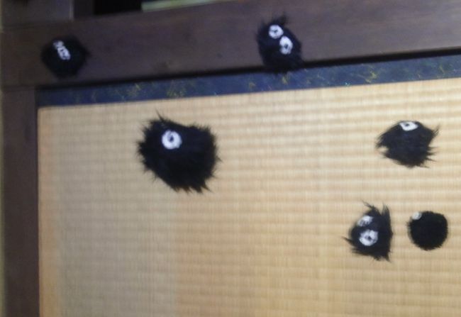 　真っ黒くろすけ・・が・・いましたよ