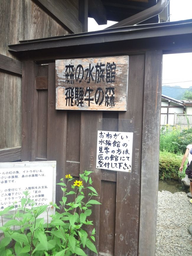 　さて水族館へ・・・いざ突撃