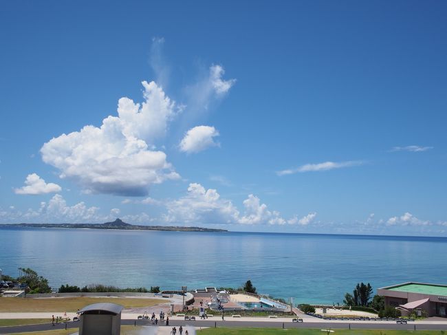 午後、古字利島に行く前に、もう一度海洋博公園へ。<br /><br />昨夜、亀が見れなかったので…<br />娘がどうしてもと…。<br /><br />時間があまりないんだけど…しょうがないか。