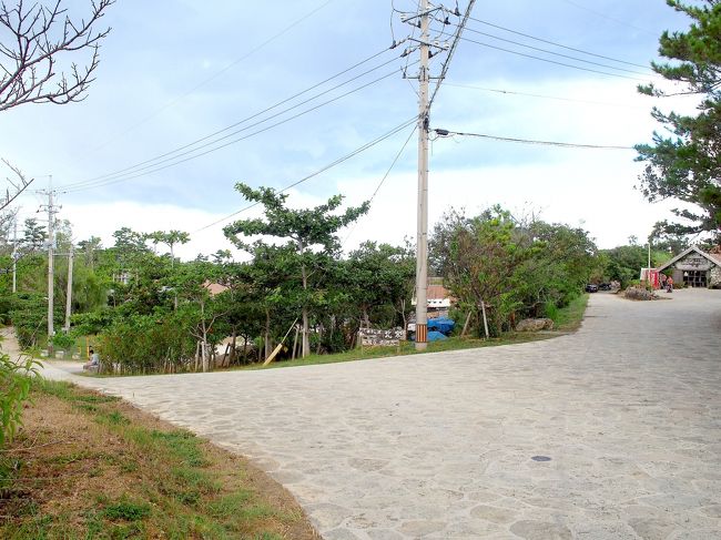 ママの旅の目的のひとつ。<br />やちむんの里にて、家族３人のお茶碗を買う！！<br /><br />島袋　常秀さんの作品を買いたくて”うつわ家”ねらいで<br />行ったのですが、気に入ったものとの”出会い”が無く、　<br />たくさんの職人さんの作品が集められた ”北窯売店”　にて<br />家族３人の読谷山焼のお茶碗を購入しました♪<br /><br />その後は、近くの泡ガラス作家さんのお店で<br />フラワーベースを2種購入♡<br /><br />こうやって、旅の思い出というか、沖縄のカケラを自宅に持ち帰り<br />常に沖縄を想って暮らすママなのです。<br /><br />