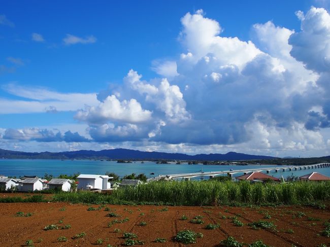 古字利島から古字利大橋を臨む。