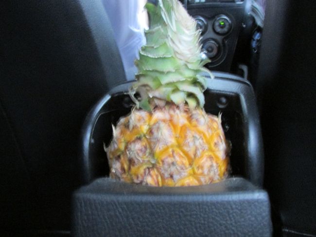 タクシーの中に生の小さなパイナップルが・・・育てているのでしょうか〜?<br />小さくて可愛い!