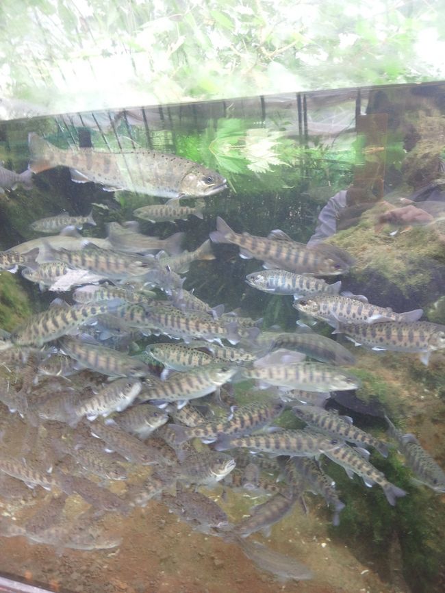 　ウマそう・・ヾ(ﾟДﾟ )ｫｨｫｨ　