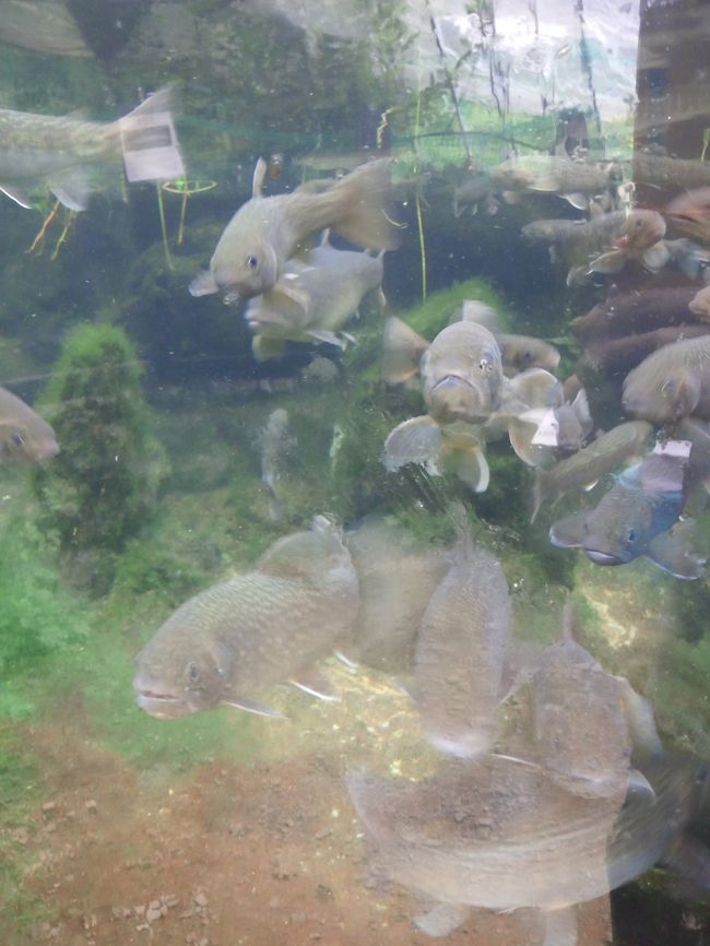 　炭の準備はいいか