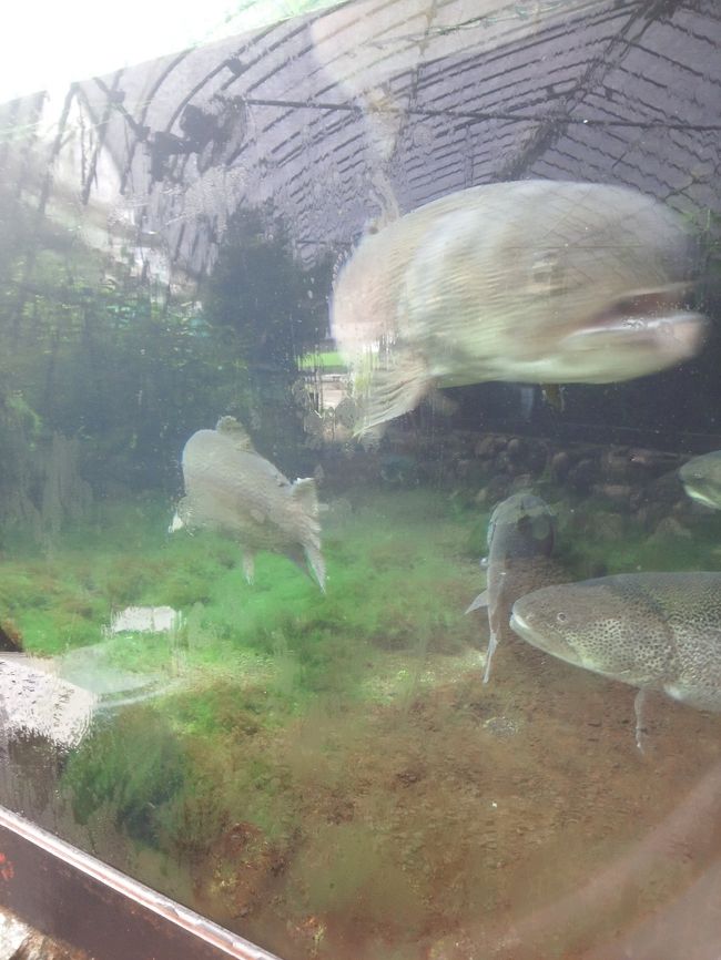 　デカ・・・・<br /><br />　