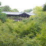 緑がまぶしい季節外れの京都～東福寺から先斗町～