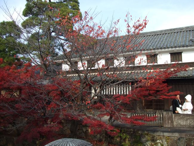 今橋と旧大原家住宅（国指定重要文化財）。<br />倉敷窓や倉敷格子、白壁など、倉敷の典型的な町家の姿を残している。<br /> <br />紅葉の街並みに、和装の挙式がよく映える。