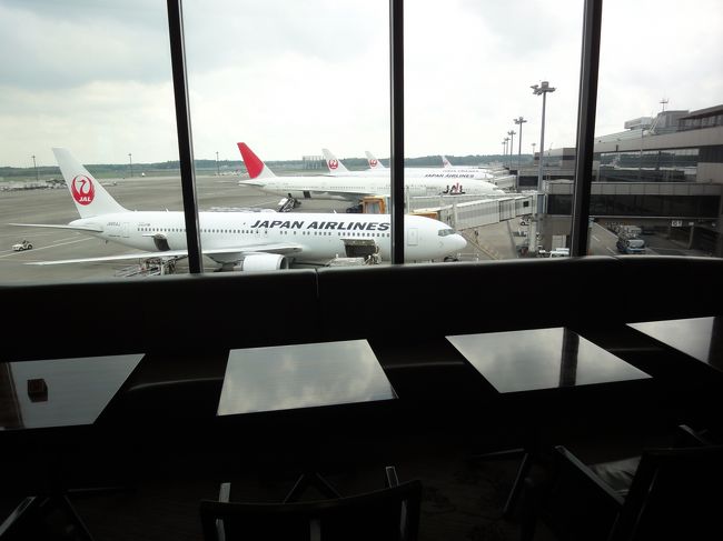 ファーストクラスラウンジからの駐機場。一番手前が787。<br />一番遠くが777-300ERロンドン便でしょうか。<br />