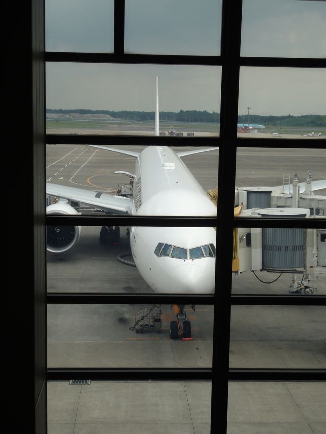 本日搭乗するボーイング777−300ER。2013年から導入されたJAL SS7搭載機です。