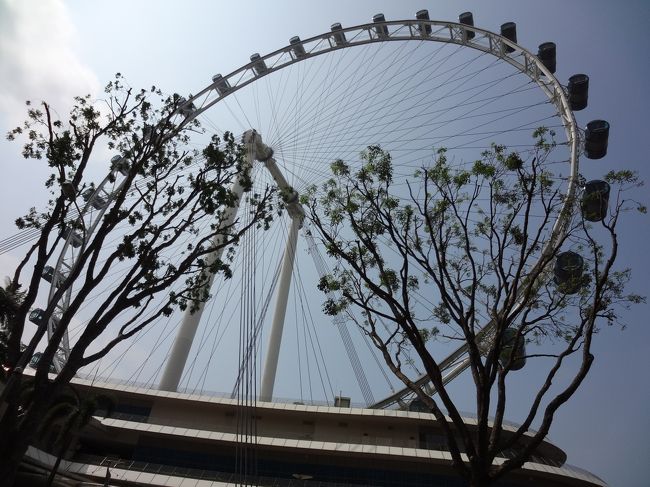 徒歩５分ほどで、シンガポールフライヤーに到着。