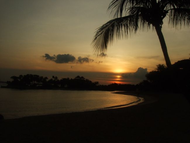 １９時頃、パラワンビーチを散歩。<br />吊り橋や展望台、面白いモニュメントがあって、楽しい海岸だった。<br /><br />「沈む夕日、綺麗だなあ。」